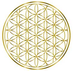 Spiritual Flower of Life in Gold.