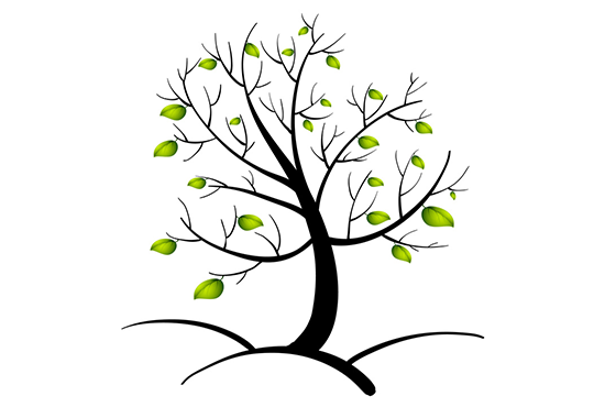 Ohrringe Tree of life - Keltischer Lebensbaum